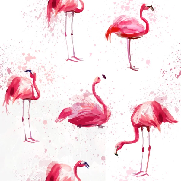 Seamless watercolor pattern with flamingo — Stock Photo, Image