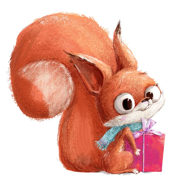 Mignon petit écureuil dessin animé rouge avec boîte cadeau — Photo