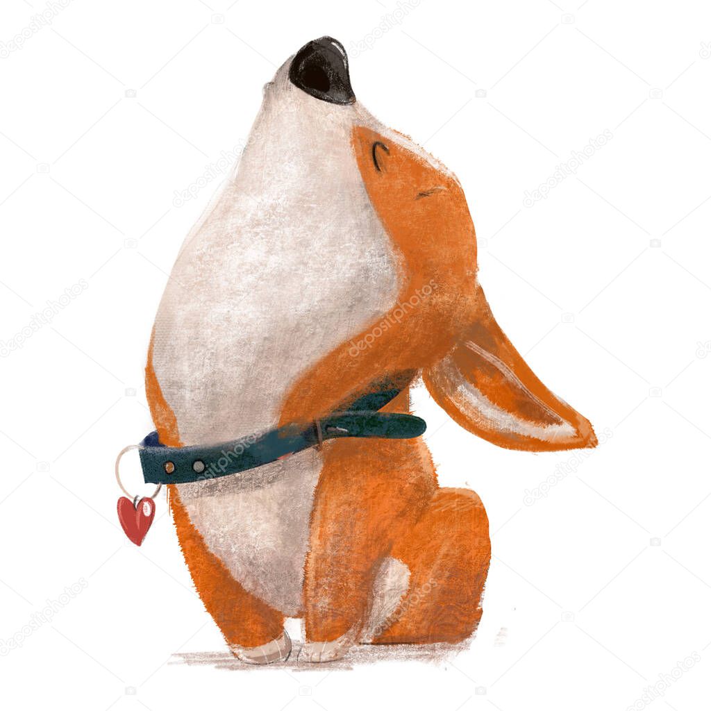 cute lovely corgi dog character on white background