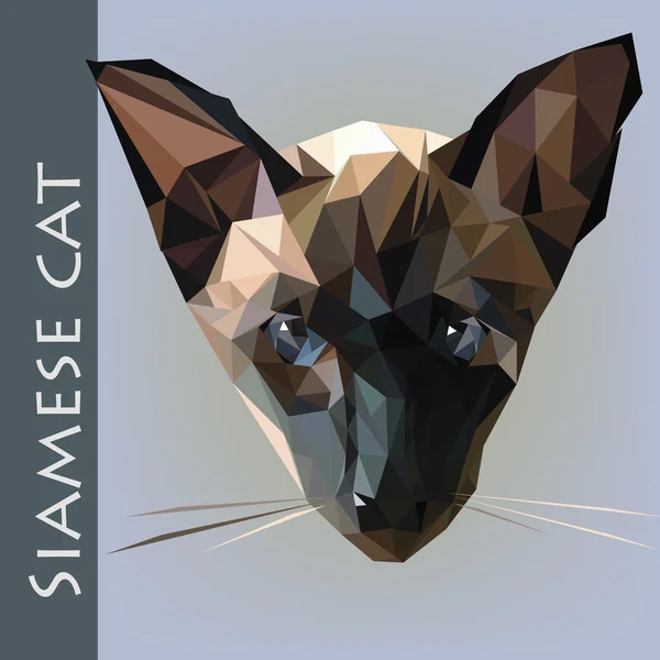 Siames kat hoofd — Stockvector