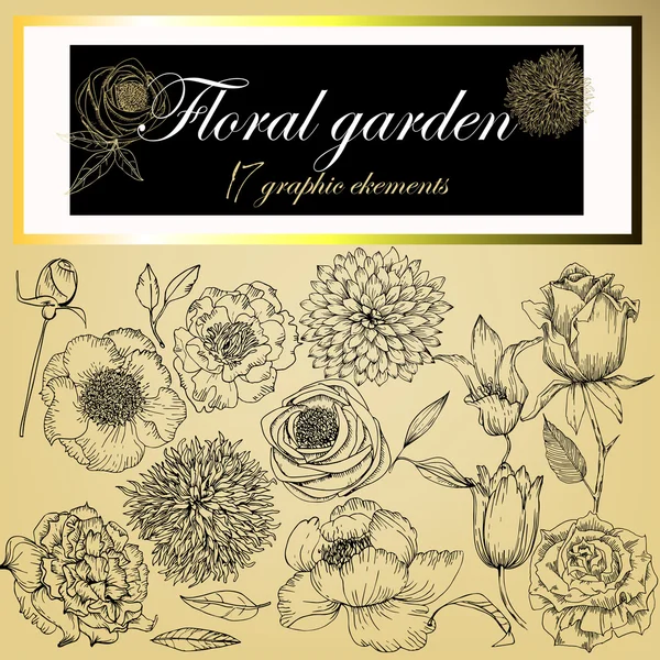Floral στοιχεία κήπων — Διανυσματικό Αρχείο