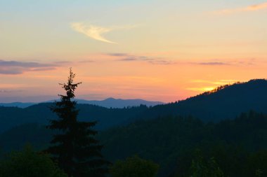 Ukrayna Karpatları 'nın dağlarında gün batımı, Synevir. Doğa manzarası. Gökyüzü, ağaç, gün doğumu. 