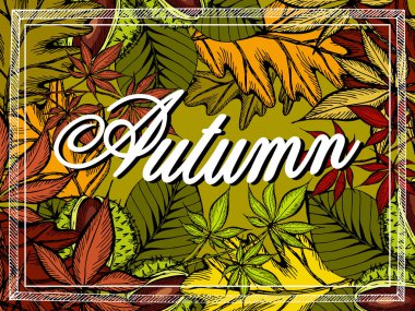 Sonbahar arkaplanının vektör illüstrasyonu. Renkli kestaneler ve yapraklar çizilmiş. Eski tarz. İşlenmiş yaprak. Tasarım afişi, bilet, broşür, kart, poster için doğa sonbahar şablonu.