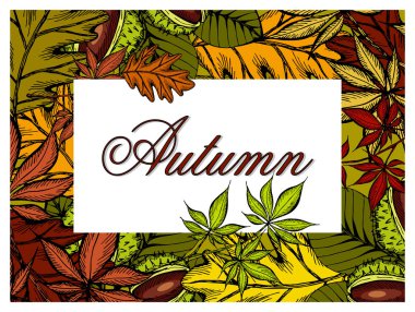 Sonbahar arkaplanının vektör illüstrasyonu. Renkli kestaneler ve yapraklar çizilmiş. Eski tarz. İşlenmiş yaprak. Tasarım afişi, bilet, broşür, kart, poster için doğa sonbahar şablonu.