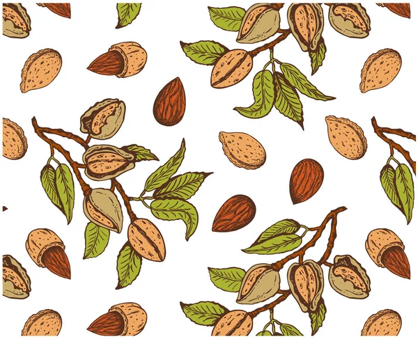 Vektorová Ilustrace Ručně Kresleného Náčrtku Barevnými Větvemi Mandlových Ořechů Strom — Stockový vektor