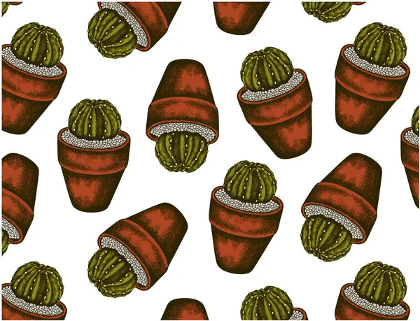 Vektorová Ilustrace Ručně Kresleného Náčrtku Zeleným Kaktusem Hrnci Izolovaném Bílém — Stockový vektor