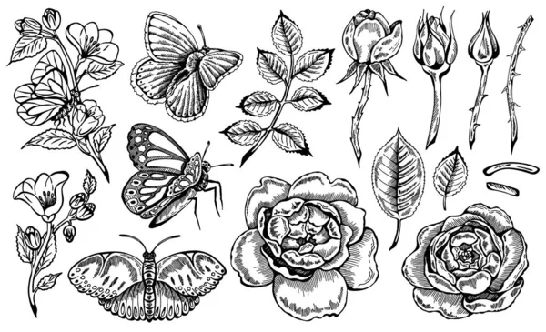 Vektor Illustration Der Skizze Handgezeichnet Reihe Von Blumen Blättern Und — Stockvektor