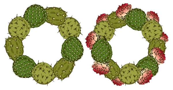 Ilustración Vectorial Coronas Cactus Dibujadas Mano Con Flores Rosadas Aisladas — Vector de stock