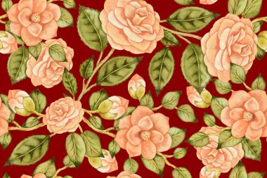 Mor Asya kamelyalarıyla çizilmiş suluboya el resmi ve yapraklı güller. Bahar çiçekleri. Çiçek arkaplan. Çiçek açan, klasik, Japonca, Çince, botanik duvar kağıdı.