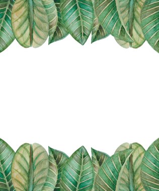 Beyaz arka planda izole edilmiş yeşil çiçekli afişler çizilmiş suluboya el resmi. Kartlar, düğün davetiyeleri, posterler için.