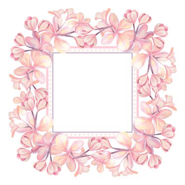 Beyaz arka planda izole edilmiş pembe pembelik çiçeklerinin olduğu suluboya el resmi. Kartlar, düğün davetiyeleri, posterler için.