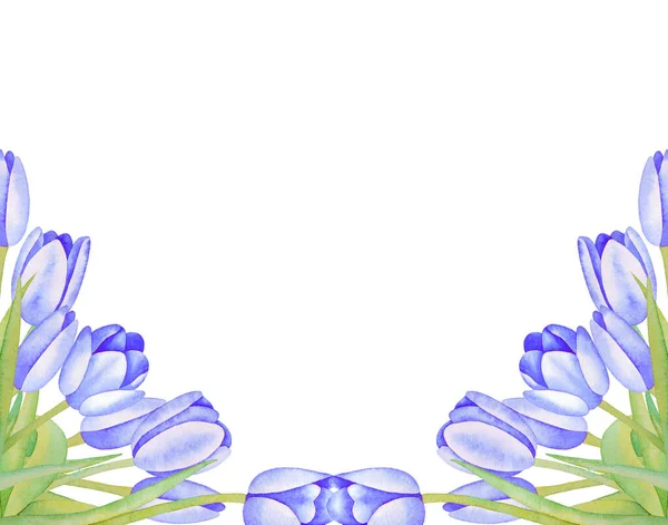 Ilustración Acuarela Marco Dibujado Mano Con Flores Tulipanes Azules Aisladas — Foto de Stock