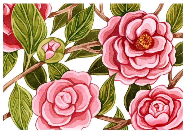 Aquarela Pintado Cartão Botânico Com Flor Camélia Rosa Folhas Verdes — Fotografia de Stock