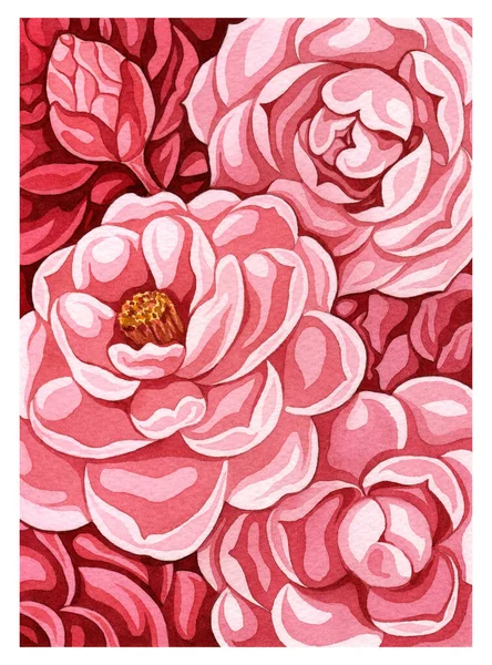 Ilustración Acuarela Fondo Floral Rosa Flores Japonesas Camelias Flor Botánica — Foto de Stock