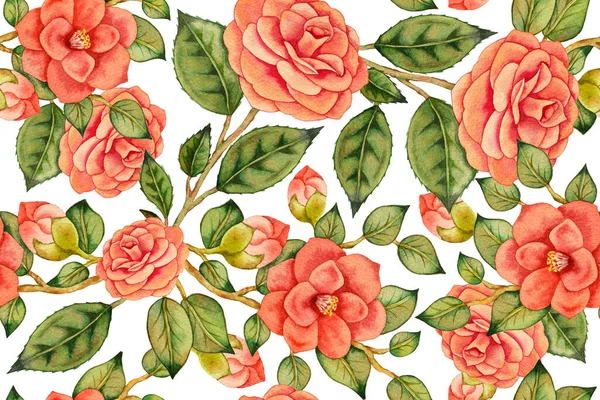 Ilustración Del Patrón Acuarela Dibujado Mano Con Camelias Asiáticas Rosas —  Fotos de Stock