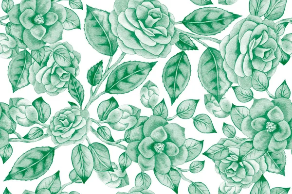 Ілюстрація Акварельної Руки Зеленими Азійськими Камеліями Трояндами Листям Весняні Квіти — стокове фото