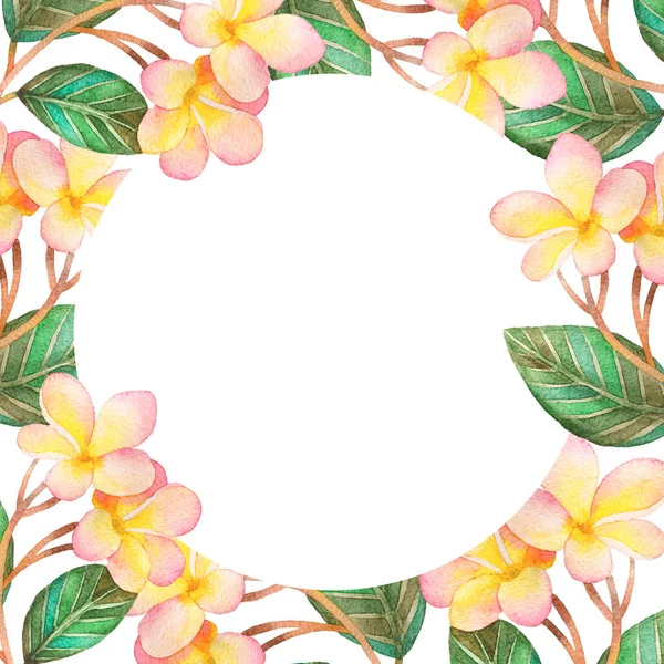 Ilustração Cartão Postal Aquarela Com Flores Plumeria Coloridas Com Folhas — Fotografia de Stock