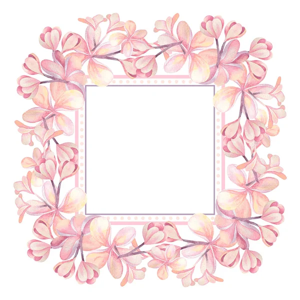 Ilustración Acuarela Marco Dibujado Mano Witn Flores Plumeria Rosa Aisladas — Foto de Stock