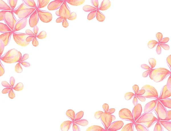 Illustrazione Acquerello Disegnato Mano Cornice Con Fiori Rosa Colorati Isolati — Foto Stock