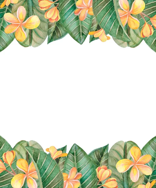 Illustration of watercolor hand drawn banner with green leaves and orange plumeria flowers. Tropical, exotic. Spring or summer flowers for invitation, wedding or greeting cards.