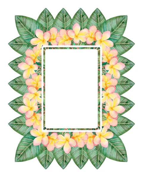 Ilustración Acuarela Dibujada Mano Tarjeta Floral Verde Con Hojas Plumeria — Foto de Stock