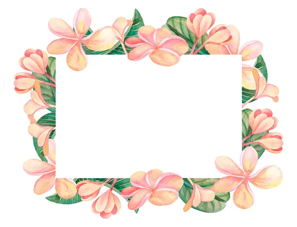 白地に緑の葉とピンク色の花を孤立させた水彩画手描きのフレームのイラスト カード 結婚式の招待状 ポスター — ストック写真