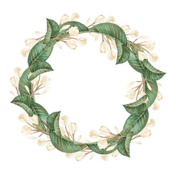 Ilustração Aguarela Desenhada Mão Coroa Romântica Flores Brancas Folhas Verdes — Fotografia de Stock