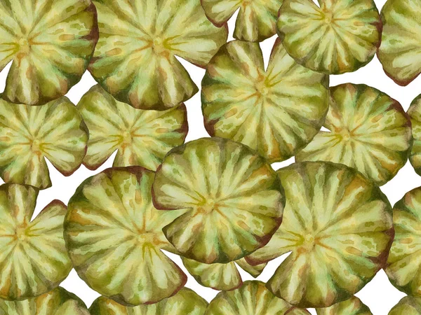 Illustratie Van Met Hand Getekend Patroon Van Groene Lotusbladeren Witte — Stockfoto
