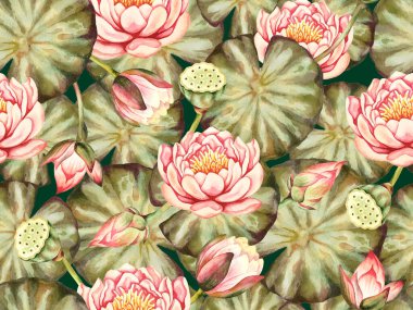 Yeşil arka planda pembe nilüfer çiçeği ve yeşil yaprakların suluboya el çizimleri. Bahar Asyalı nilüfer çiçeği duvar kağıdı. Botanik, tomurcuk, çiçek, doğa, tekstil, Japon.