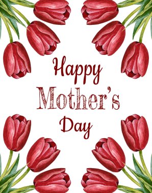 Beyaz zemin üzerinde kırmızı laleler bulunan suluboya el çizimi bir kartpostal. Anneler günün kutlu olsun. Bahar.