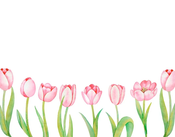 Illustration Watercolor Hand Drawn Frame Colorful Pink Tulips Isolated White — Stock Photo, Image