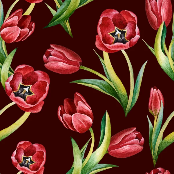 Ilustración Del Patrón Acuarela Dibujado Mano Con Flores Tulipán Primavera — Foto de Stock