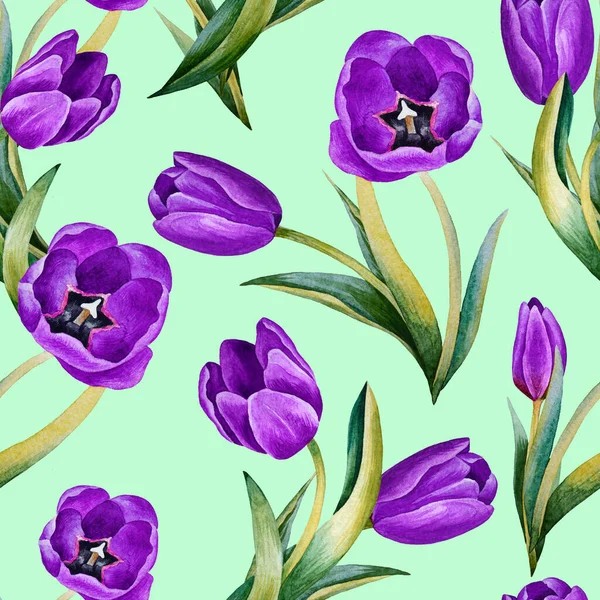 Ilustración Del Patrón Acuarela Dibujado Mano Con Flores Tulipán Primavera — Foto de Stock