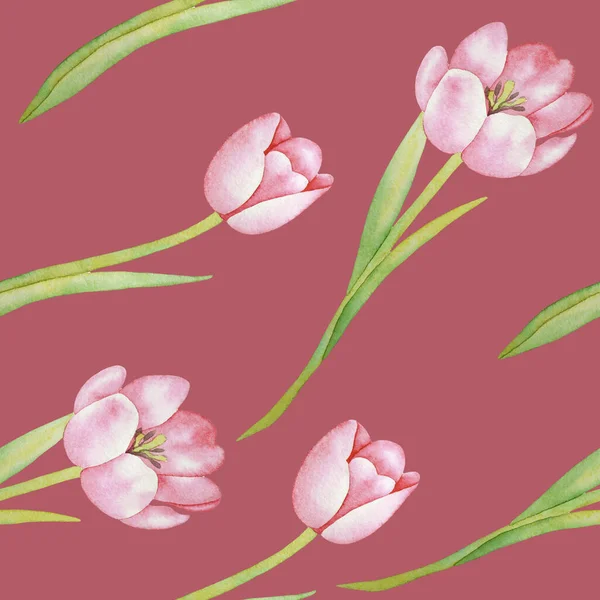 Illustrazione Acquerello Disegno Mano Con Fiori Colorati Primavera Arte Botanica — Foto Stock