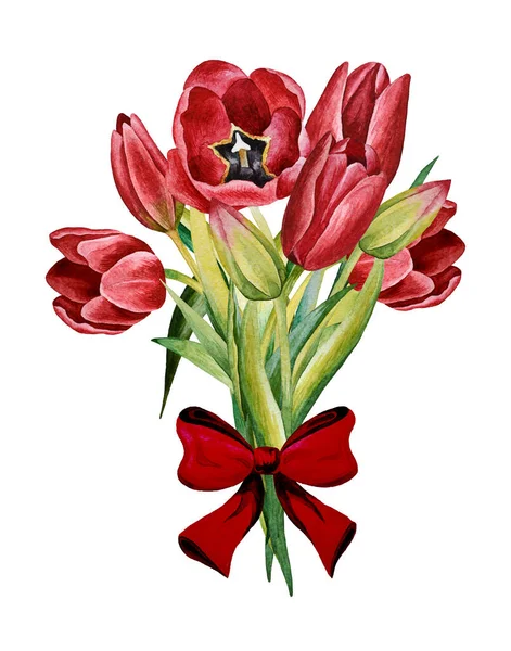 Illustration Watercolor Hand Drawn Bouquet Colorful Red Tulips Bow Isolated — Stock Photo, Image