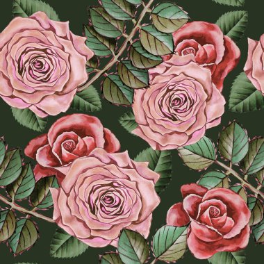 Renkli pembe güller ve yapraklarla çizilmiş suluboya el resmi. Romantik çiçekler, çiçek açma, çiçek arkaplanı, botanik. Duvar kağıdı, kumaş, tekstil için. Eski ve eski tarz.