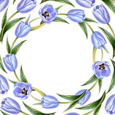 Beyaz arka planda izole edilmiş mavi laleli suluboya el resmi. Bahar çiçekli kartpostal. Tebrik kartı için çiçekler. Sancak şablonu, Vintage tarzı. 8 Mart, Anneler Günü.