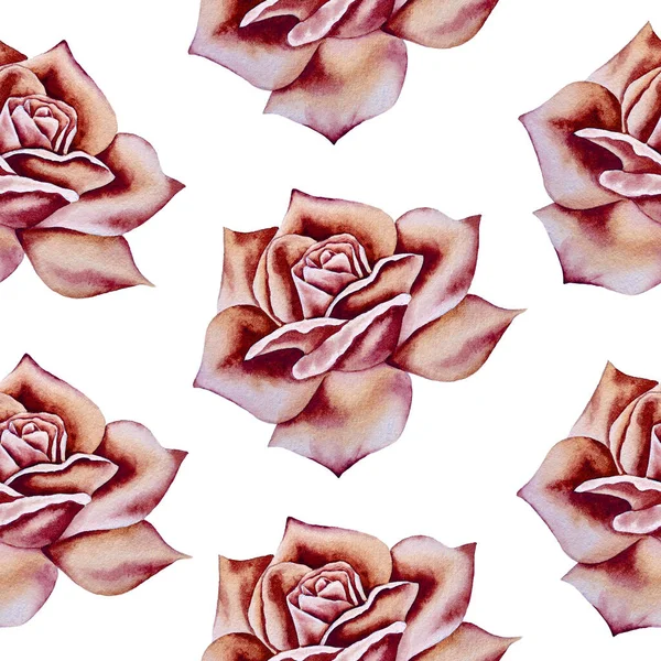 Ілюстрація Акварельного Візерунка Ручної Роботи Різнокольоровими Рожевими Трояндами Романтичні Квіти — стокове фото