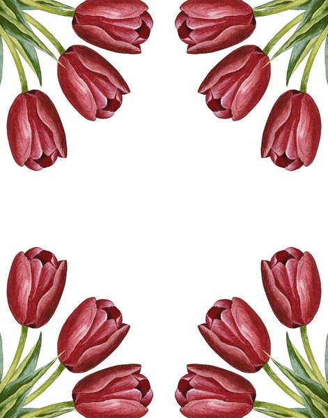 Ilustración Acuarela Marco Dibujado Mano Con Tulipanes Rojos Aislado Sobre — Foto de Stock