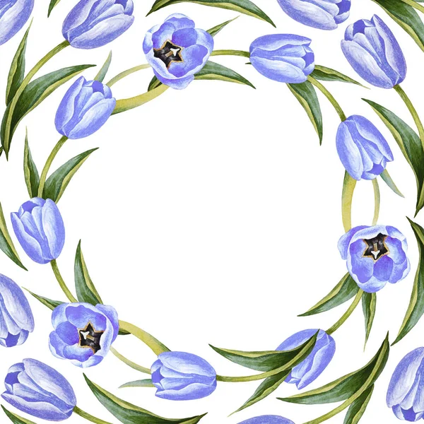 白い背景に隔離された青いチューリップで描かれた水彩画の手のイラスト 春の花のポストカード グリーティングカードの花 バナーテンプレート ヴィンテージスタイル 3月8日母の日 — ストック写真