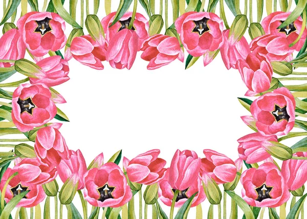 ピンクチューリップの水彩画手描きフレームのイラスト 春の花のポストカード グリーティングカードの花 ヴィンテージスタイルのバナーテンプレート 3月8日母の日 — ストック写真