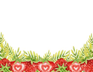 Kırmızı taze çilek ve yapraklarla çizilmiş suluboya el resmi. Yaz meyvesi arka planı. Organik yiyecekler. Egzotik, tropikal. Vejetaryen. Çiftçi pazarı ve amblemi için doğal ürün.