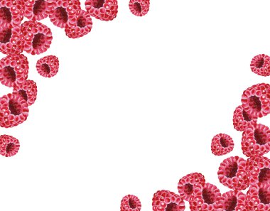 Taze ahududulu suluboya el resmi. Yaz meyvesi arka planı. Organik yiyecekler. Çiftçi pazarı ve amblemi için doğal ürün. Vejetaryen.