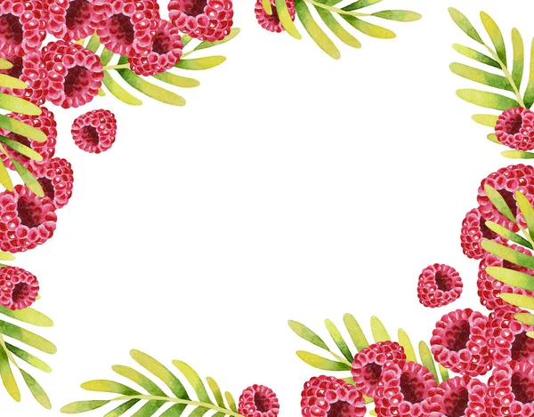 Ilustração Moldura Desenhada Mão Aquarela Com Framboesas Rosa Frescas Folhas — Fotografia de Stock