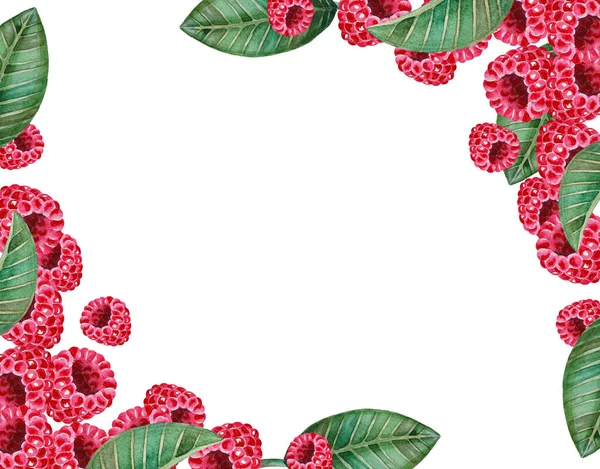 Ілюстрація Акварельної Ручної Мальованої Рамки Свіжою Рожевою Малиною Зеленим Листям — стокове фото