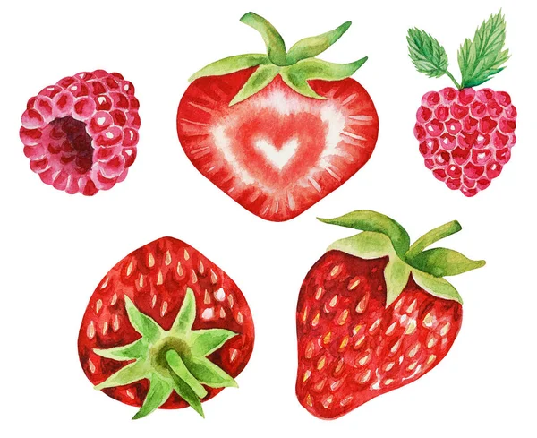 Illustartion Watercolor Hand Drawn Set Colorful Raspberry Strawberry Leaf Whole — Stock Photo, Image