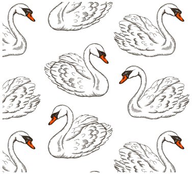 Beyaz arka planda beyaz kuğuların izole edildiği çizim el çiziminin vektör çizimi. Klasik sanat eseri hayvanı, gravür kuşu, sevimli kuğu duvar kağıdı çizimi. Tekstil