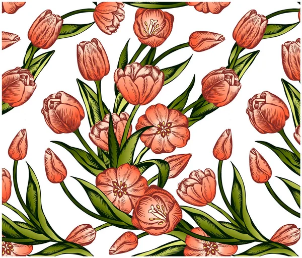 Ескіз Намальованого Візерунка Квітів Тюльпанів Ізольовано Білому Тлі Весняно Рожевий — стоковий вектор