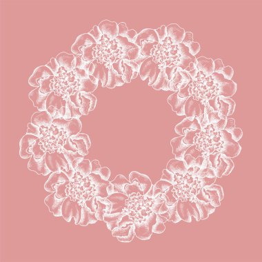 Şakayık ve yapraklı vektör çiçek çerçevesi. Doğrusal grafikler, çizim, mürekkep çizimi, gravür taklidi. El çizimi bitkiler, çizgi sanatı. Retro, klasik çiçekler. Gül çiçeği.