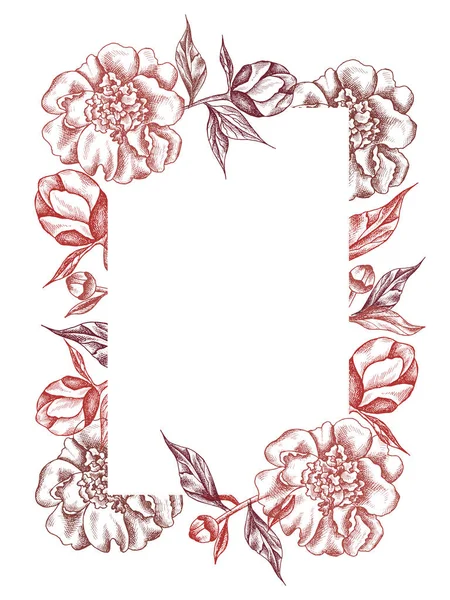 Marco Floral Vectorial Con Peonías Hojas Gráficos Lineales Boceto Dibujo — Vector de stock